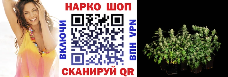 Что такое Никольское Гашиш Конопля Галлюциногенные грибы Мефедрон