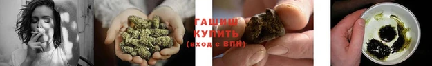 дмт Михайлов